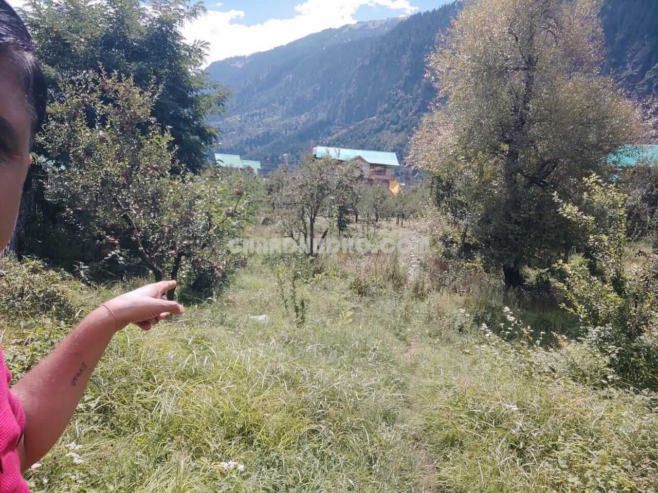 Land For Sale In Kullu Manali