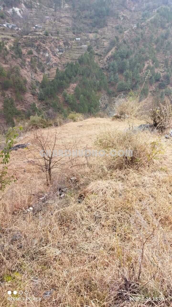 Agricultural Land For Sale In Kullu Manali