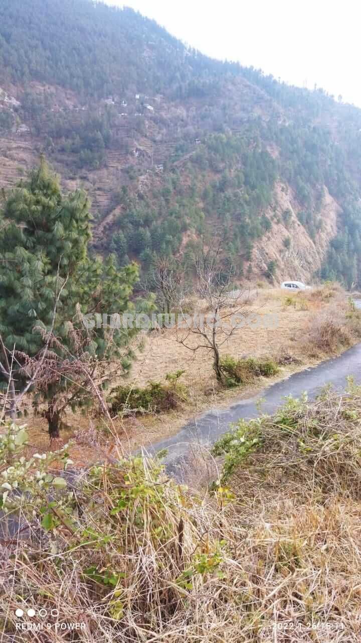 Agricultural Land For Sale In Kullu Manali