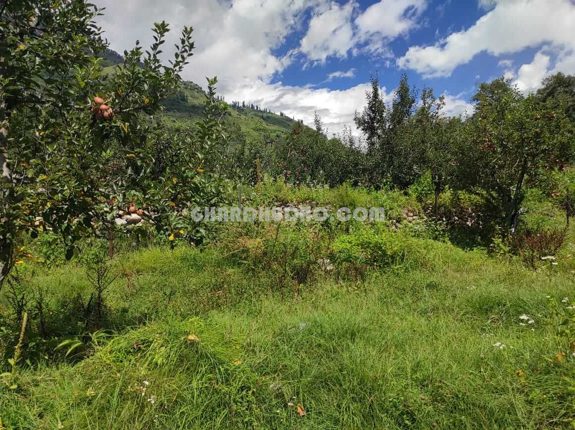 Land For Sale In Kullu Manali