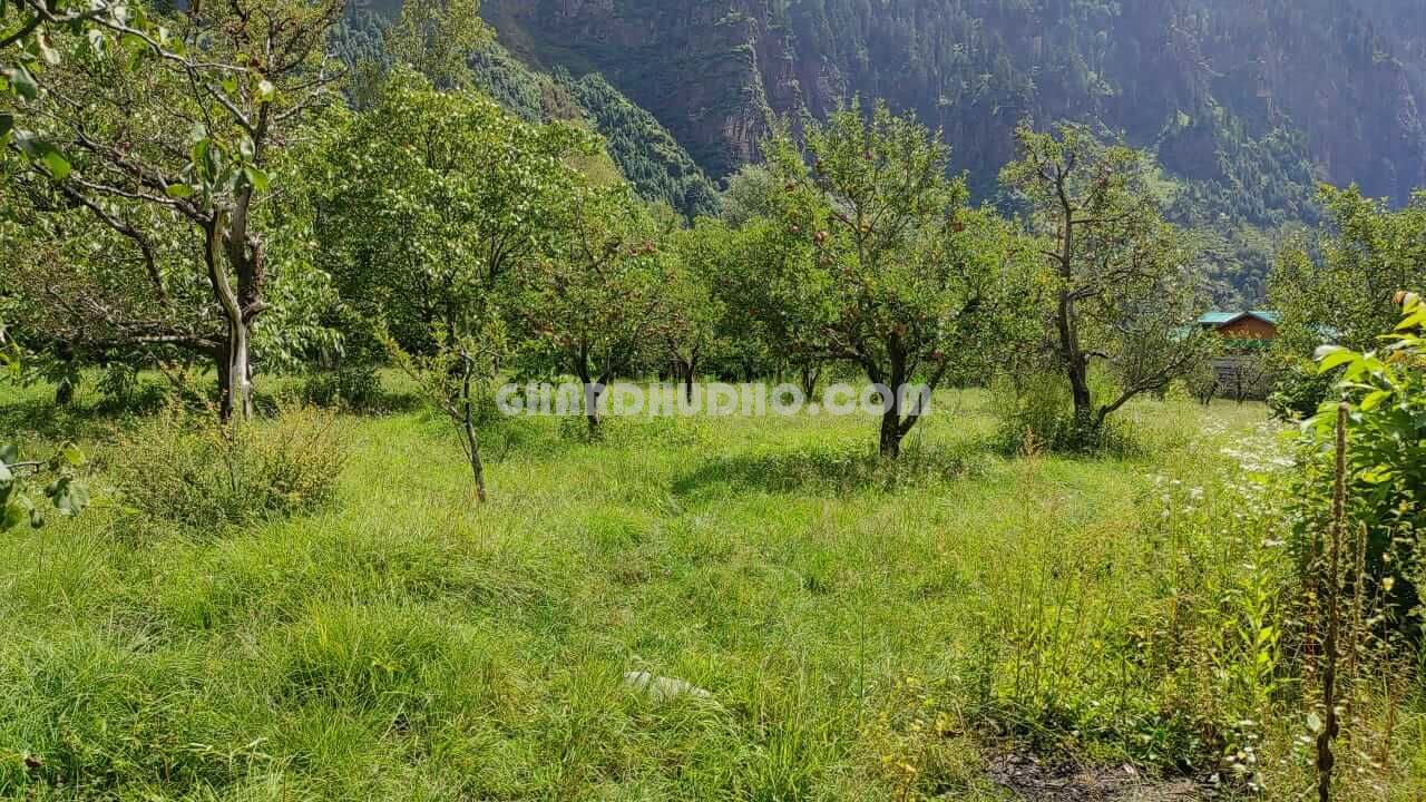 Land For Sale In Kullu Manali